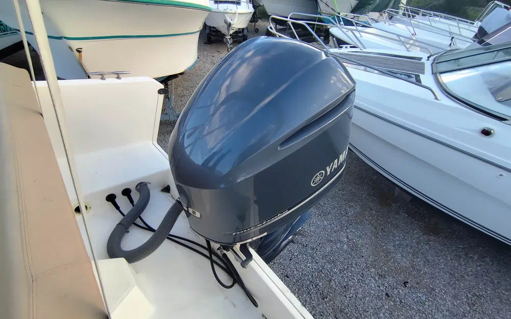 slider 9 Kelt White Shark 246