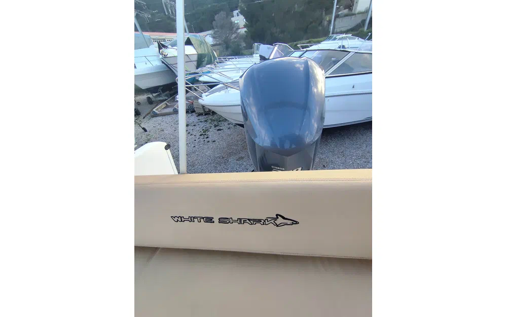 slider 11 Kelt White Shark 246