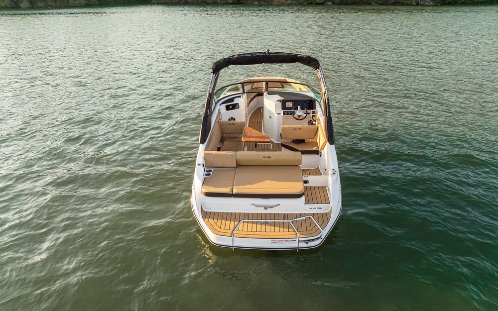 slider 4 Sea Ray 230 SDX Surf