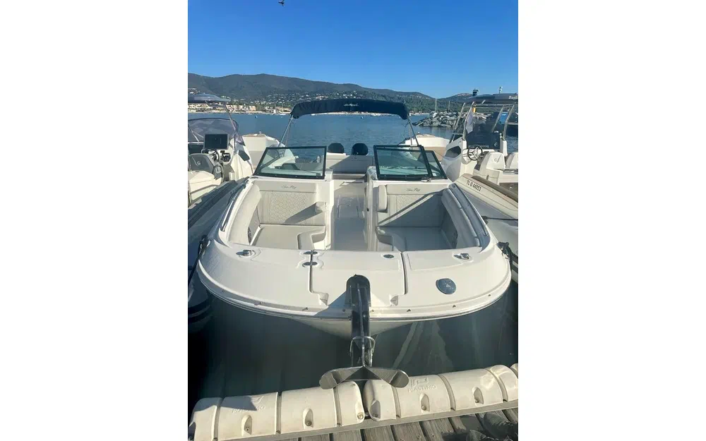 slider 3 Sea Ray SDX 290 HORS BORD USA