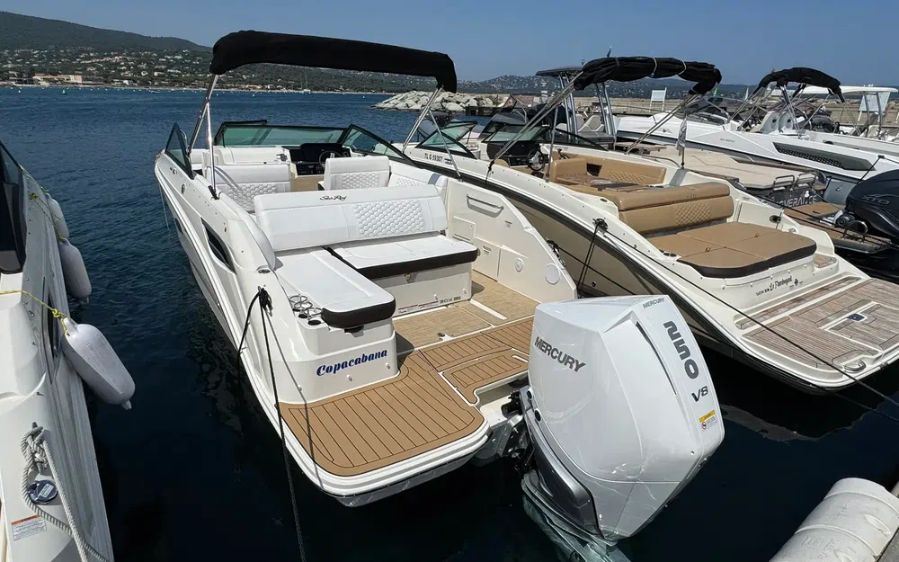 slider 3 Sea Ray 250 SDX HB
