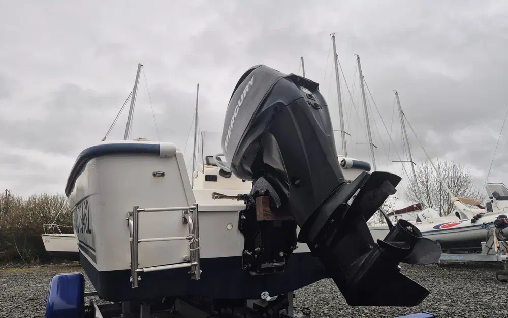 slider 1 Quicksilver 500 Fish