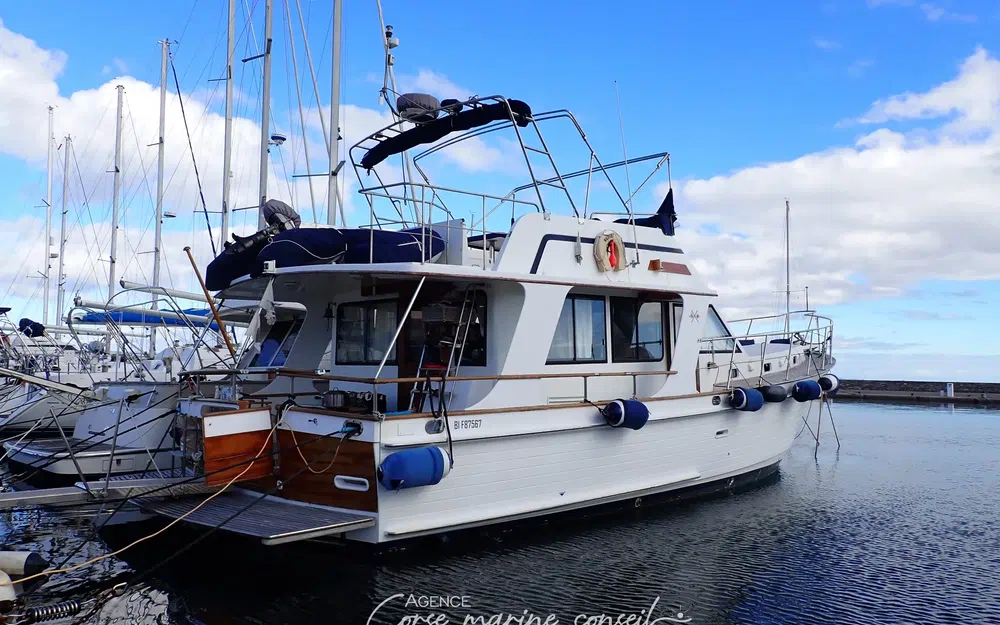 slider 1 Island Gypsy 44