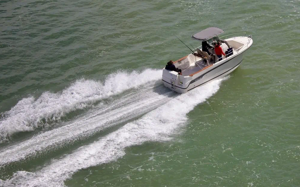 slider 4 Ocqueteau Ostrea 700 T-Top