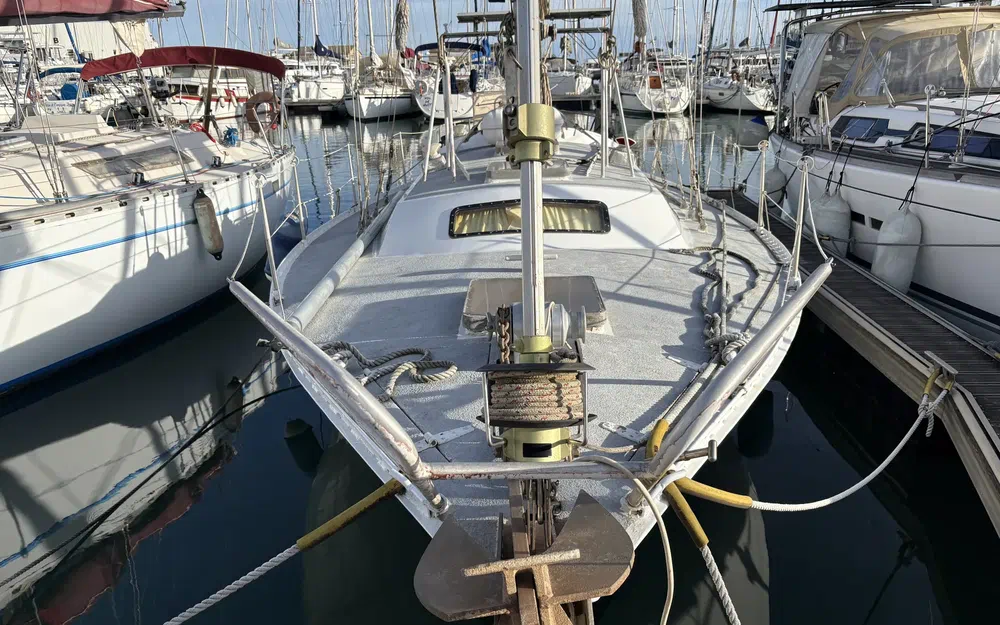 slider 19 Trismus 33