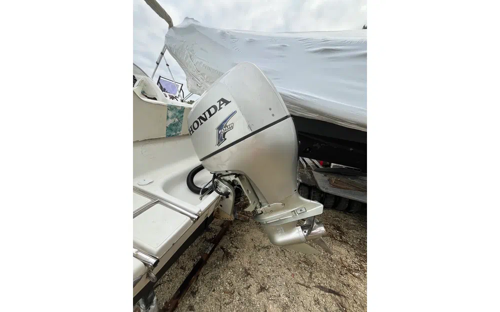 slider 9 Sessa Marine Oyster 20