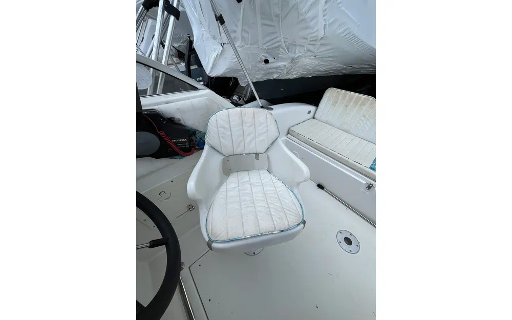 slider 5 Sessa Marine Oyster 20