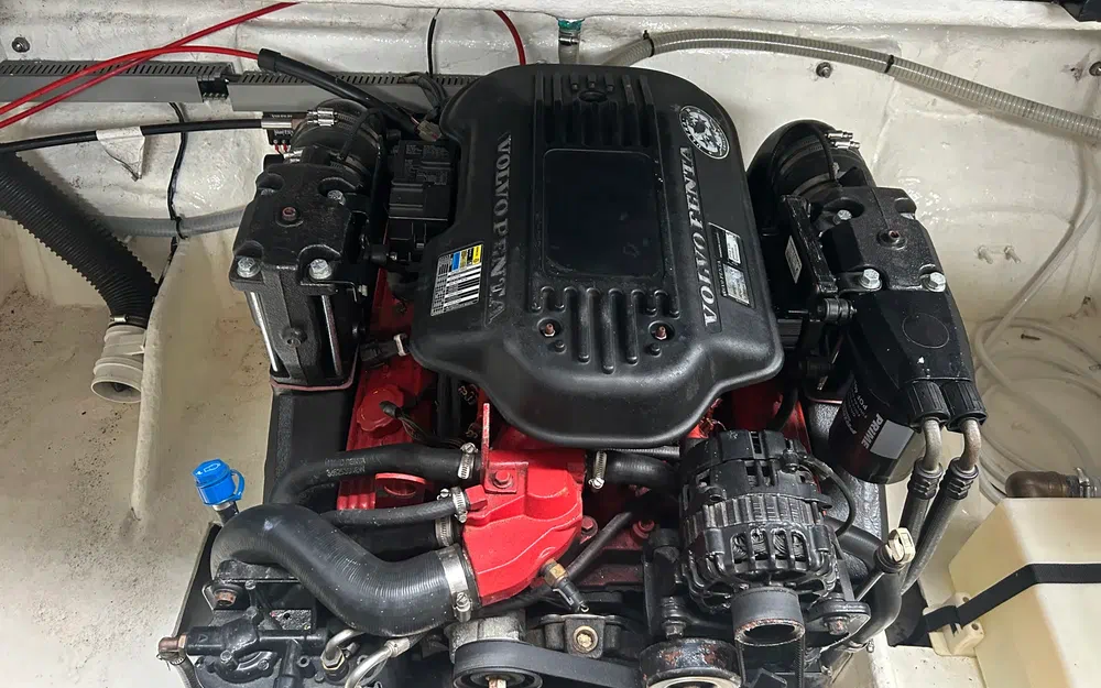 slider 14 Tullio Abbate Sea Star 23