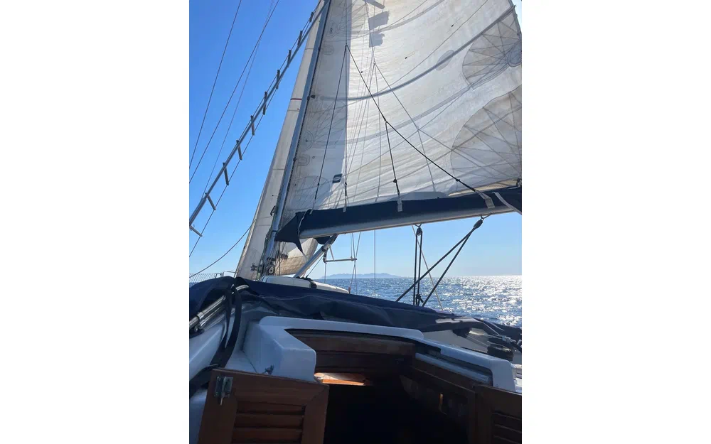 slider 16 Belliure Endurance 35