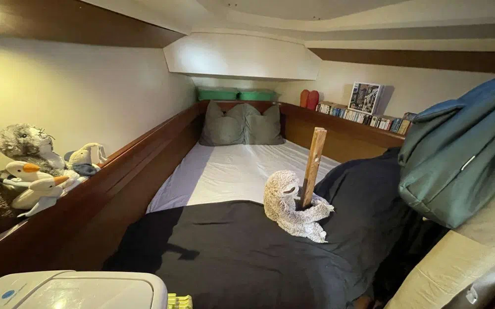 slider 16 Jeanneau Sun Odyssey 42 DS