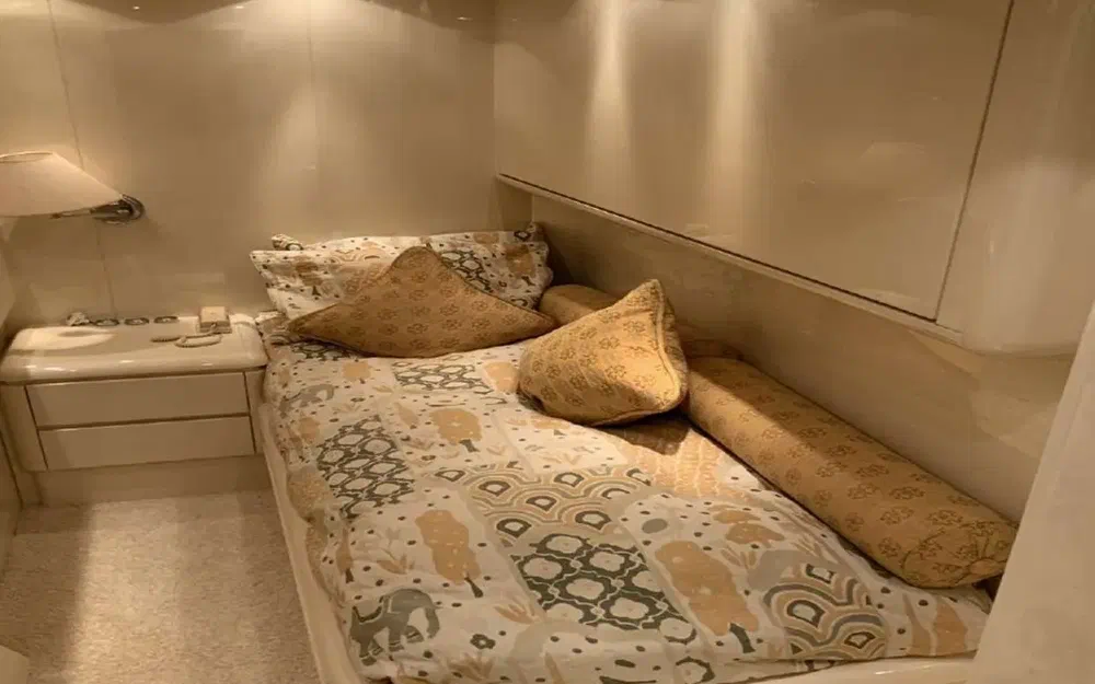 slider 29 Arno Leopard 24