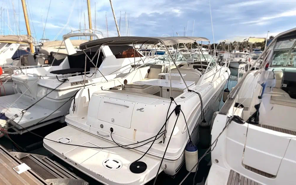 slider 0 Sea Ray Amberjack 290