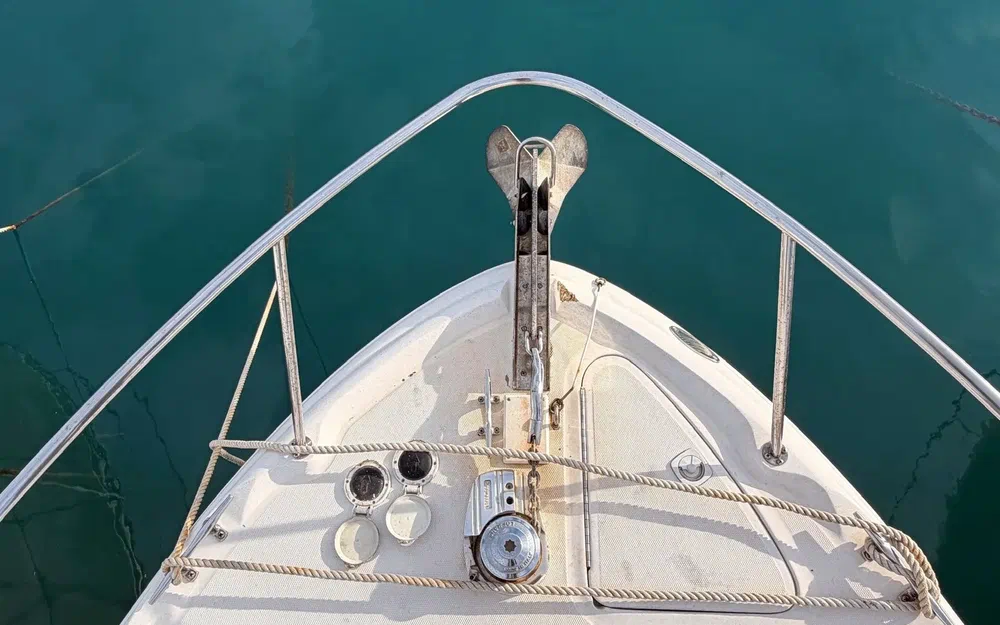 slider 11 Sea Ray Amberjack 290