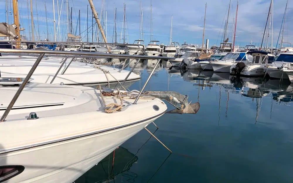 slider 12 Sea Ray Amberjack 290