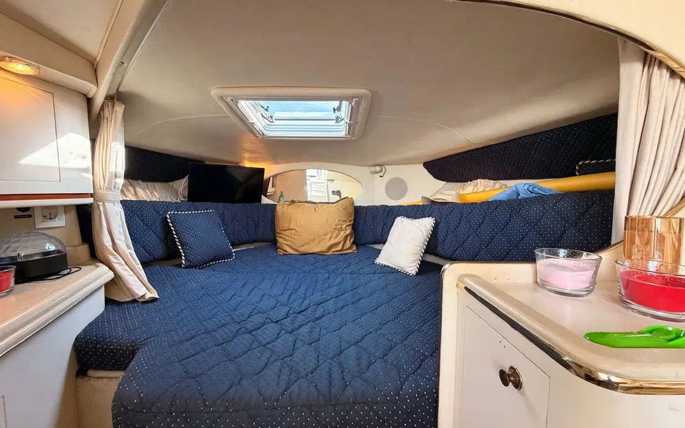 slider 17 Sea Ray Amberjack 290