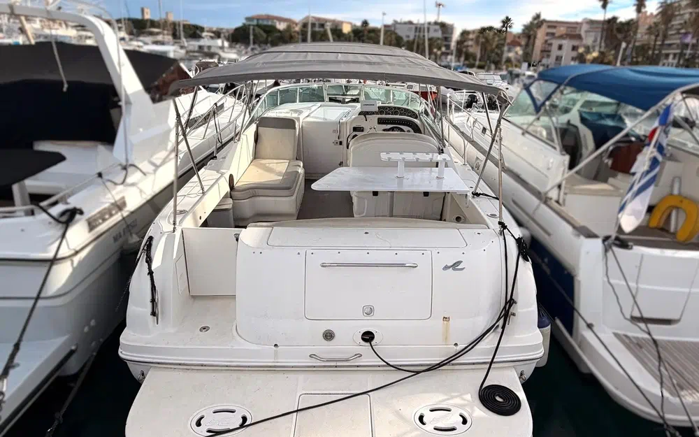 slider 1 Sea Ray Amberjack 290