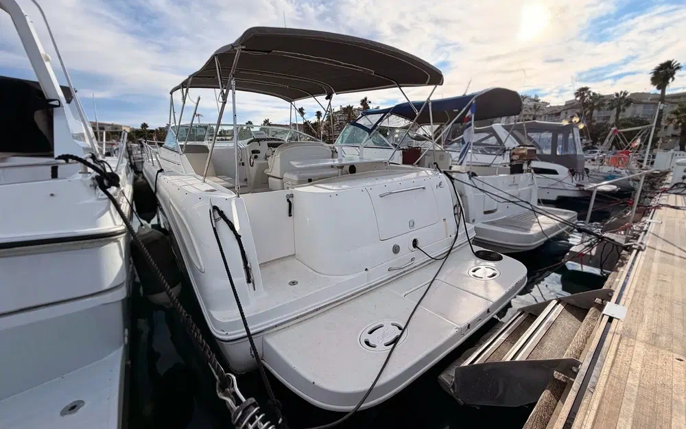 slider 2 Sea Ray Amberjack 290