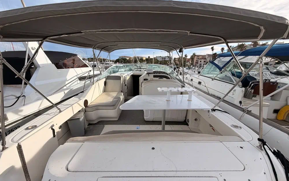 slider 3 Sea Ray Amberjack 290