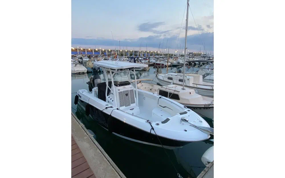 slider 1 Wellcraft Fisherman 242