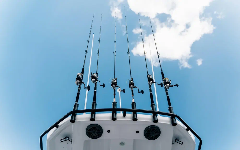 slider 17 Axopar 29 CCX