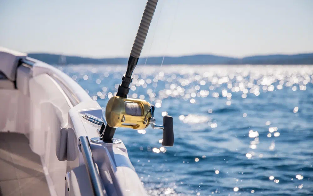 slider 18 Axopar 29 CCX