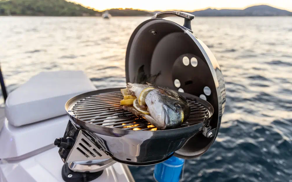 slider 20 Axopar 29 CCX