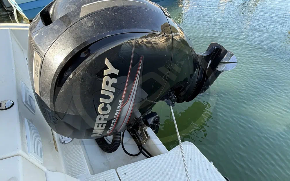 slider 4 Quicksilver Activ 605 Sundeck