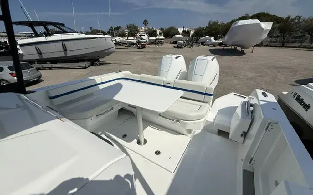 slider 5 Wellcraft 28 T-Top