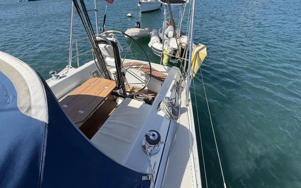 slider 19 Winner 11,20