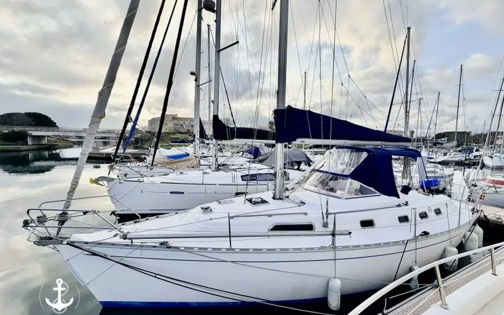 slider 0 Dufour 39 CC