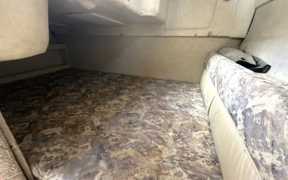 slider 11 Bayliner Cierra 2355 Sunbridge