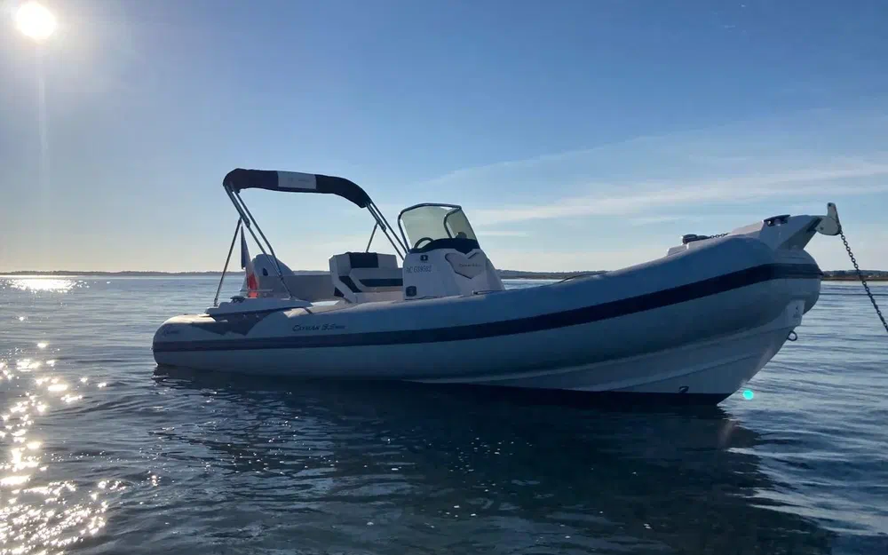 slider 2 Ranieri Cayman 19 Sport