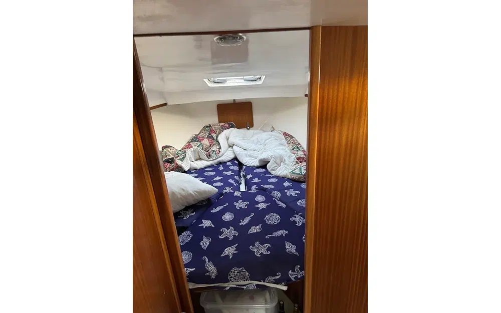 slider 12 Navimotors Teaser 31 Sport