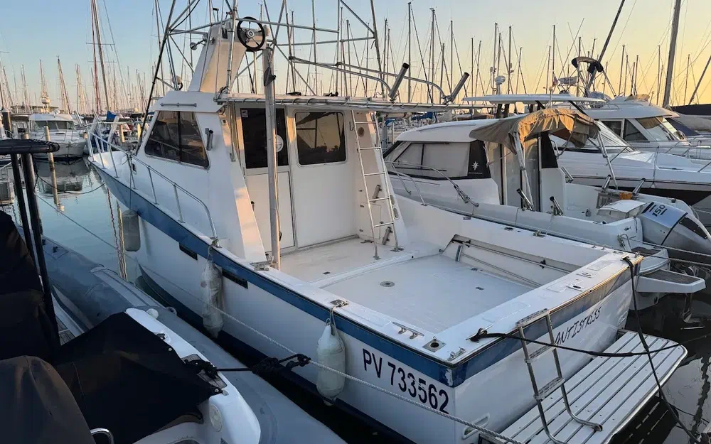 slider 0 Navimotors Teaser 31 Sport