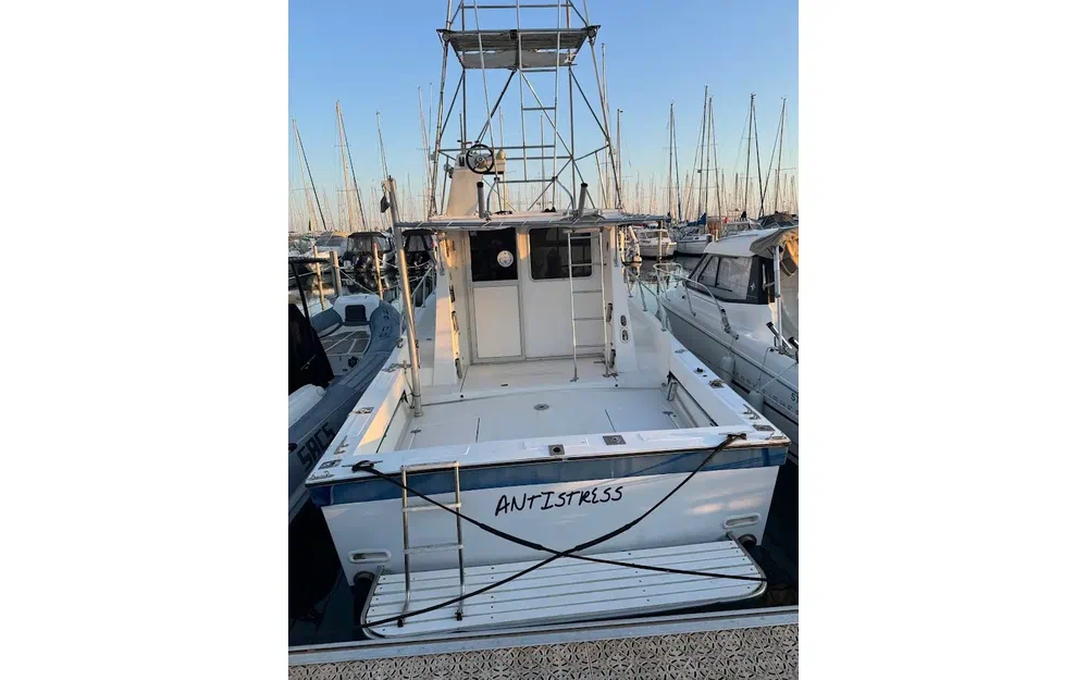 slider 2 Navimotors Teaser 31 Sport