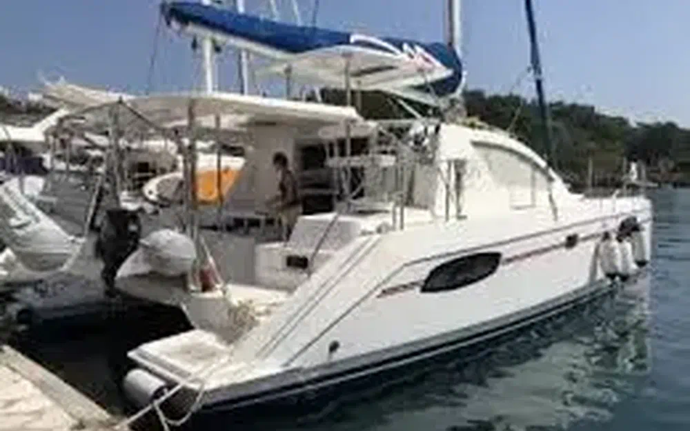 slider 2 Robertson And Caine Leopard 39