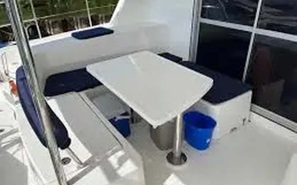 slider 4 Robertson And Caine Leopard 39