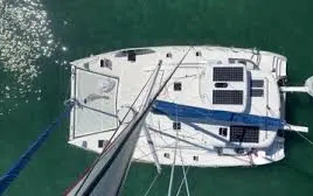 slider 7 Robertson And Caine Leopard 39