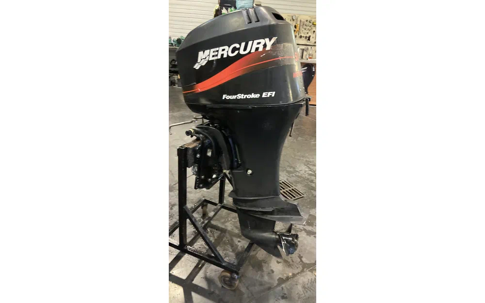 slider 0 MERCURY 50 EFI 4 TEMPS