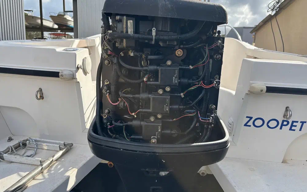 slider 3 MERCURY Optimax 150 XL