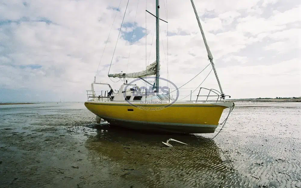 slider 11 Afep Marine Manatea 350