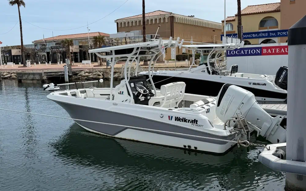 slider 0 Wellcraft Fisherman 222