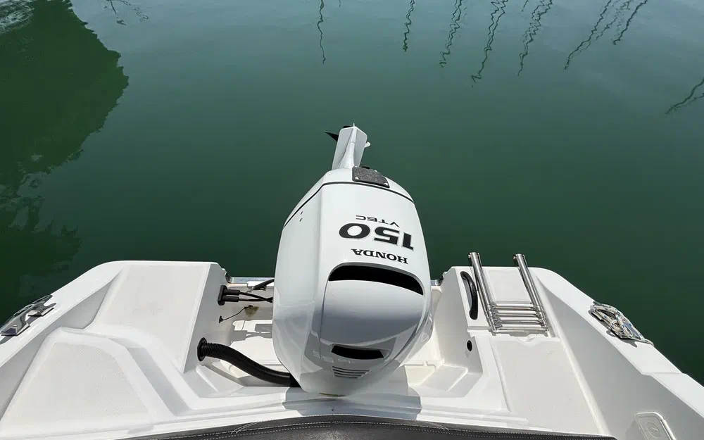 slider 8 Ranieri Clf 22