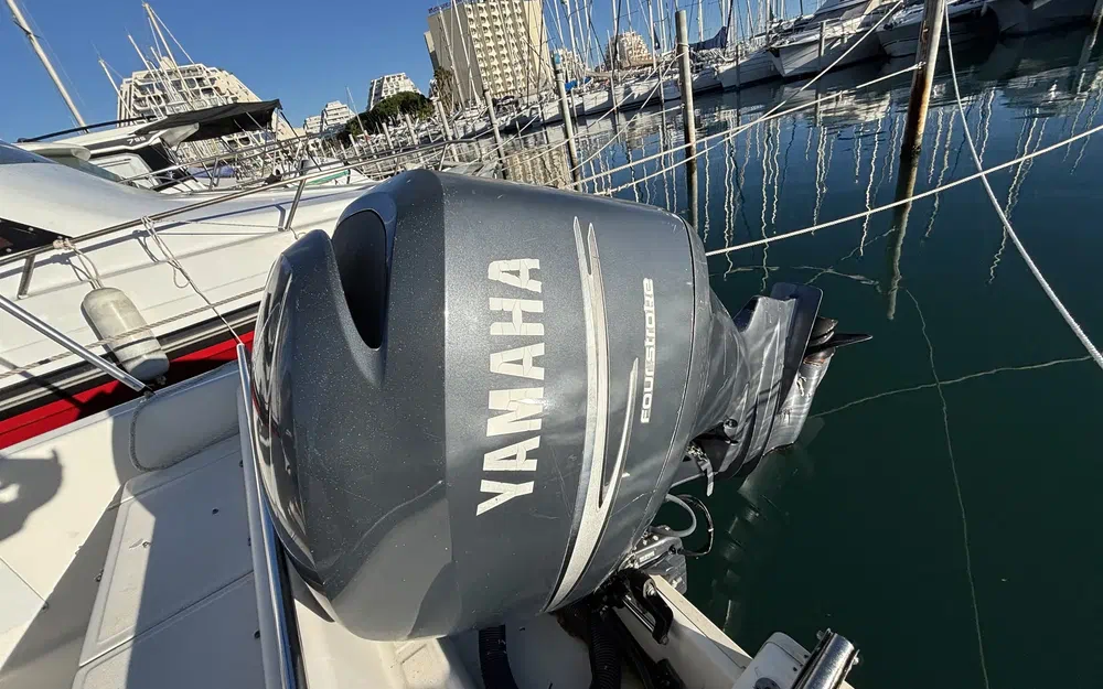 slider 10 White Shark 205