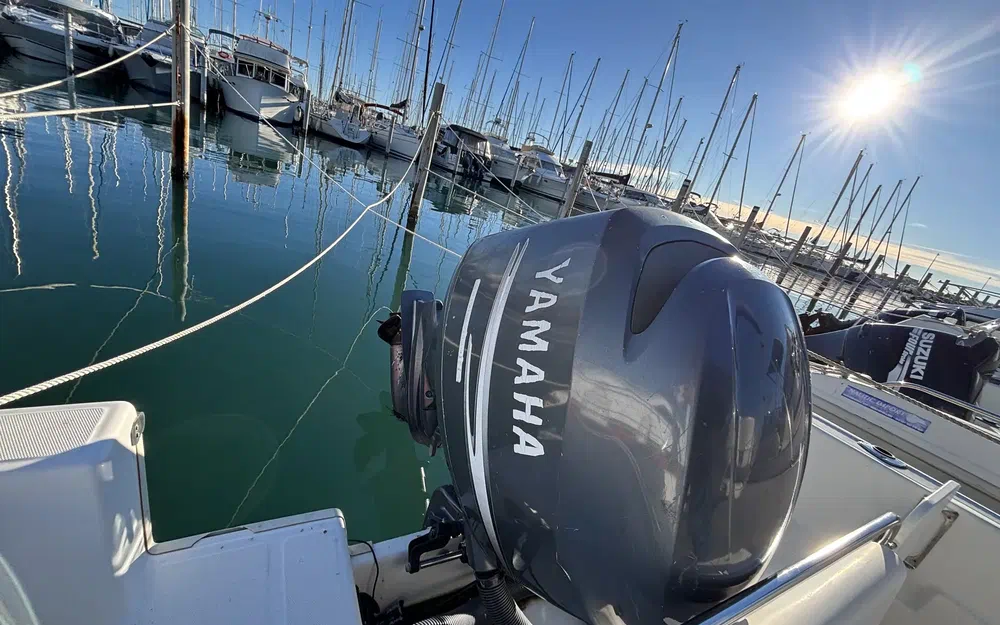 slider 11 White Shark 205