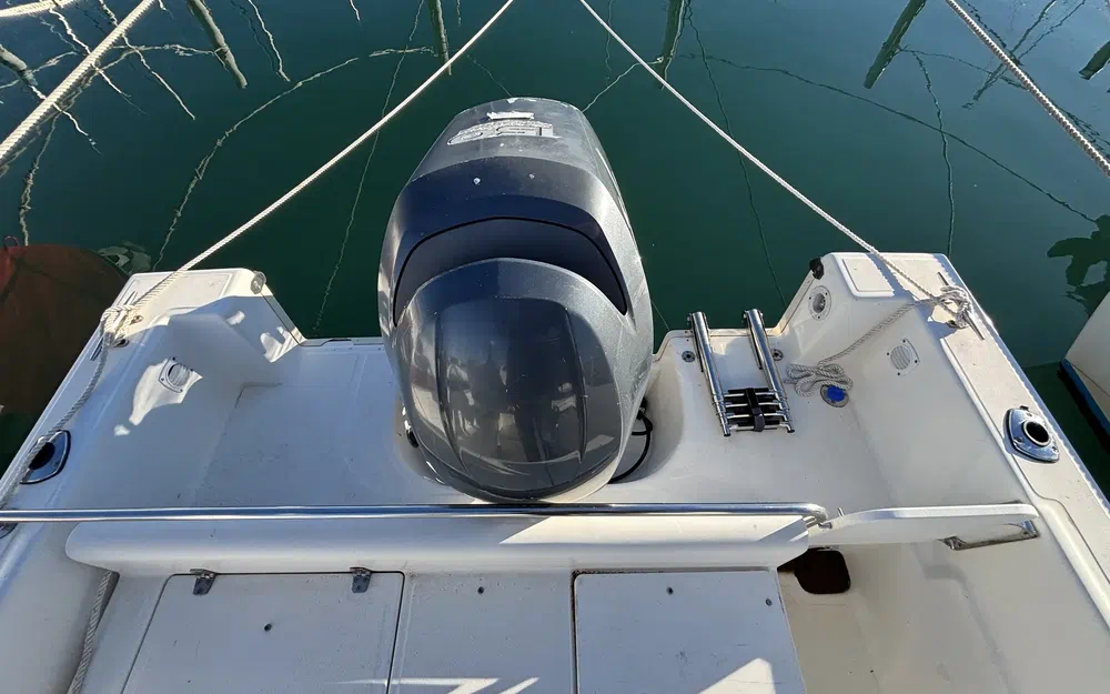 slider 12 White Shark 205