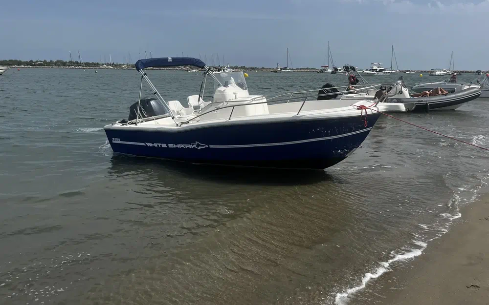 slider 1 White Shark 205