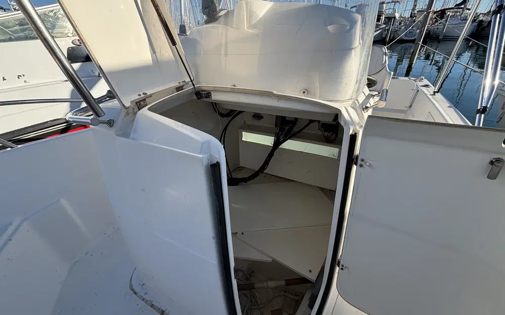 slider 8 White Shark 205