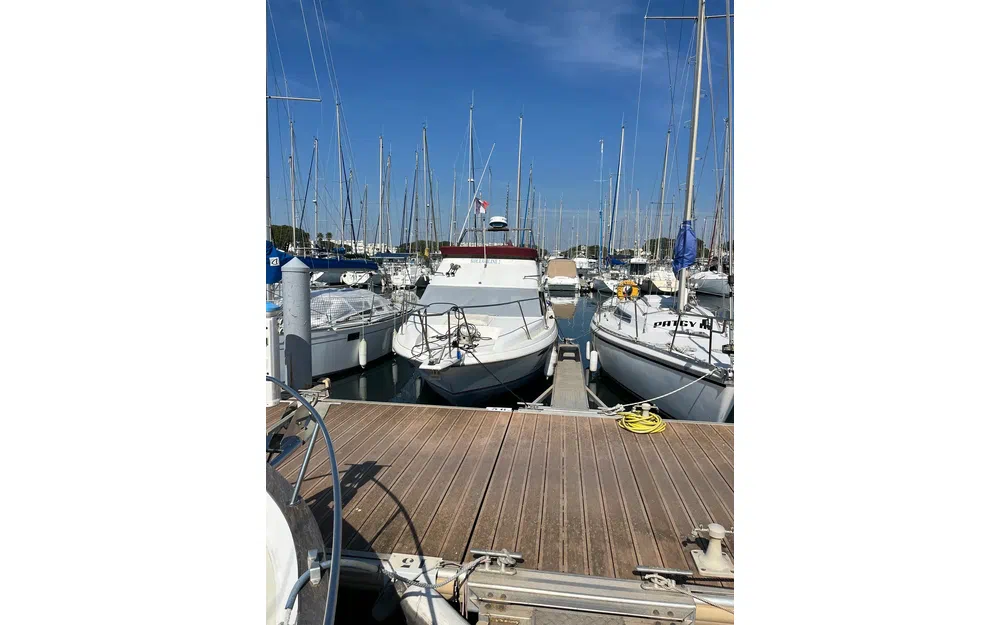 slider 29 Bayliner Cierra 2556