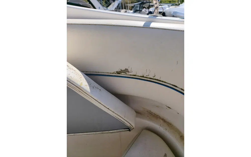 slider 26 Bayliner 300 SB